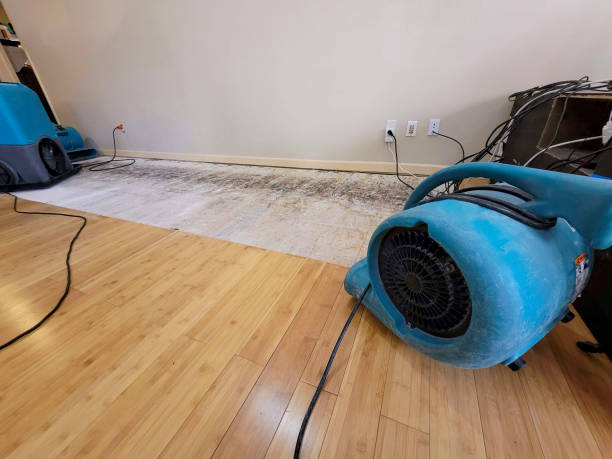 Professional Structural Drying technician working in Thomasville, AL